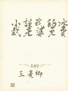 小说我的冰山总裁老婆免费看封面