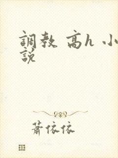 调教 高h 小说