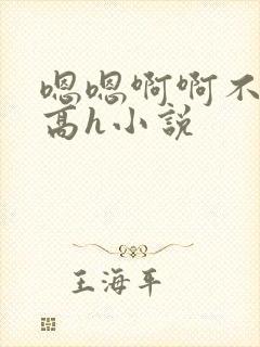 嗯嗯啊啊不要啊高h小说