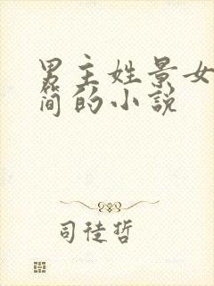 男主姓景女主姓简的小说封面