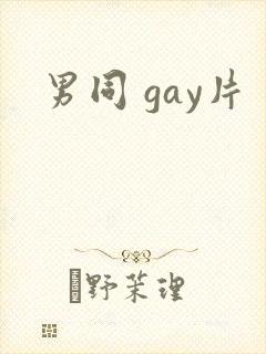 男同 gay片