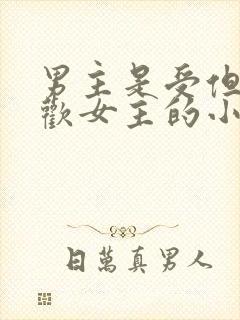 男主是受但是喜欢女主的小说