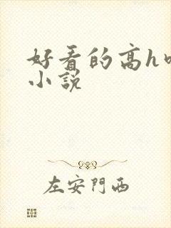 好看的高h吃奶小说封面