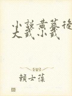 小说黄蓉后传之大武小武封面