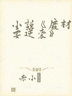 小说《废材小姐要逆袭》