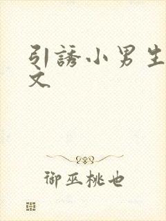 引诱小男生做h文封面