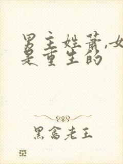 男主姓萧,女主是重生的封面