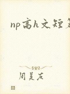 np高h文短篇