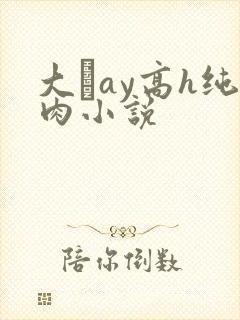 大舋ay高h纯肉小说