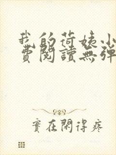 我的荷姨小说免费阅读无弹窗