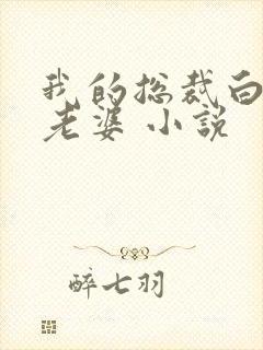 我的总裁白富美老婆 小说