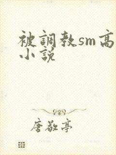 被调教sm高h小说
