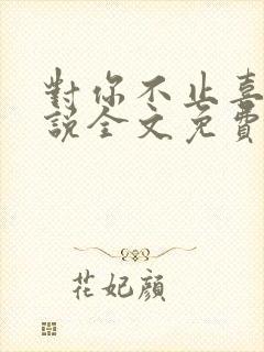 对你不止喜欢小说全文免费阅读