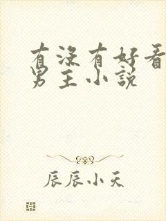 有没有好看的双男主小说