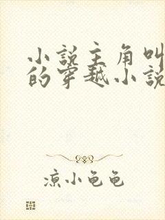 小说主角叫李辰的穿越小说