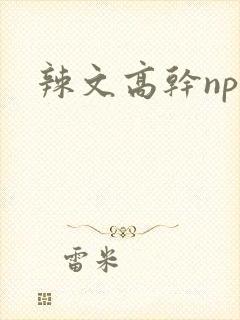 辣文高干np封面