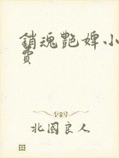 销魂艳婢小说免费