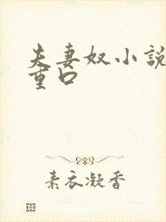 夫妻奴小说sm重口封面