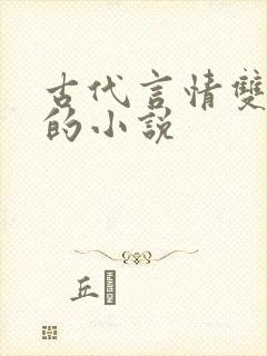 古代言情双男主的小说封面