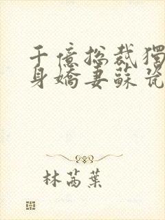 千亿总裁独宠替身娇妻苏瓷傅南城