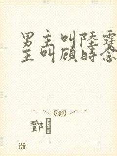 男主叫陆霆骁女主叫顾时念的小说