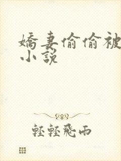 娇妻偷偷被人骑小说