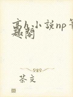 高h小说np笔趣阁封面