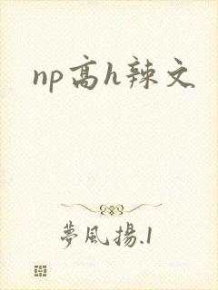 np高h辣文