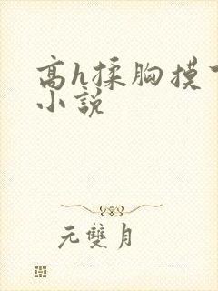 高h揉胸摸下的小说