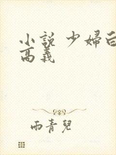 小说 少妇白洁高义封面