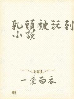 乳头被玩到高潮小说