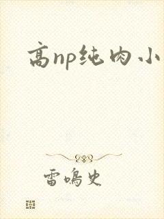 高np纯肉小说