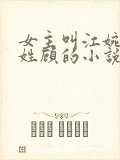 女主叫江婉男主姓顾的小说