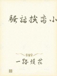 骚话挨脔小说封面
