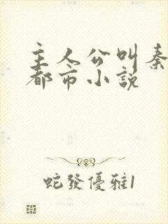 主人公叫秦昊的都市小说