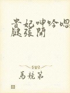 贵妃呻吟嗯啊双腿张开封面