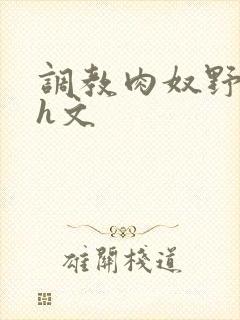 调教肉奴野原琳h文