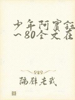 少年阿宾钰慧1～80全文在封面