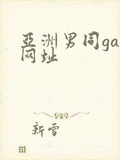 亚洲男同gay网址