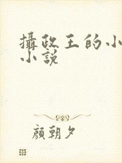 摄政王的小闲妻小说封面