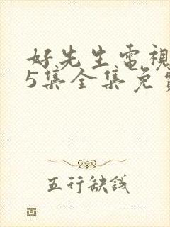 好先生电视剧45集全集免费