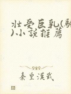 壮受巨乳(骚受)小说推荐封面