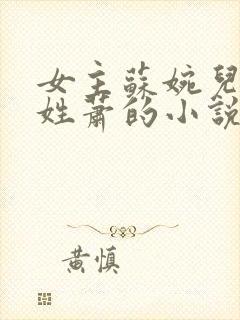 女主苏婉儿男主姓萧的小说