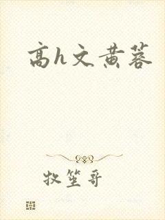 高h文黄蓉封面