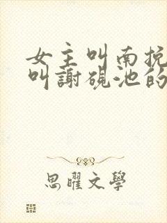 女主叫南挽男主叫谢砚池的小说