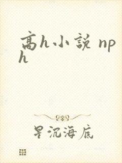 高h小说 nph