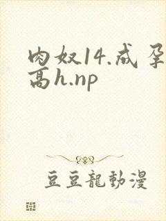 肉奴14.成孕高h.np