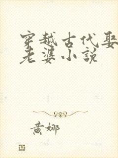 穿越古代娶三个老婆小说封面