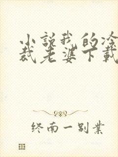 小说我的冷艳总裁老婆下载封面