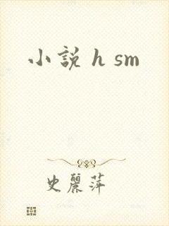 小说 h sm